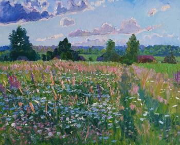Flowering meadows. Melnikov Aleksandr