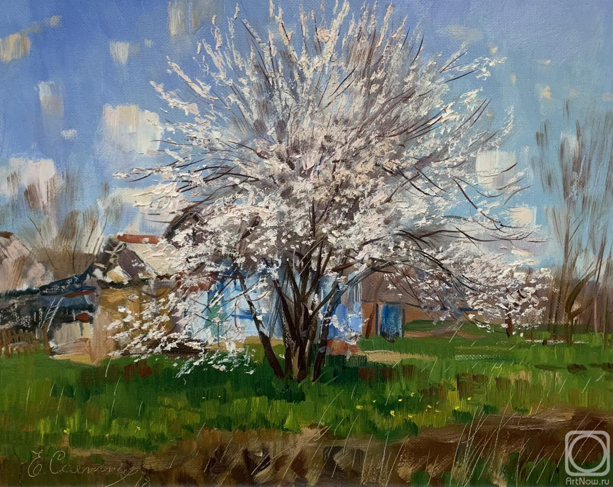 �������. ������� �����. ����� ������. ������� ����������