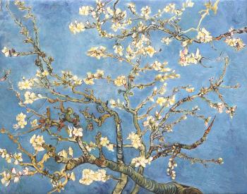 Flowering branches of almonds. Van Gogh. Copy