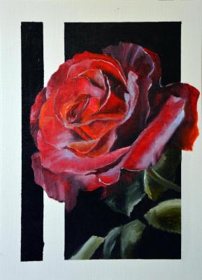 ��������� ���� �����. �������� �����