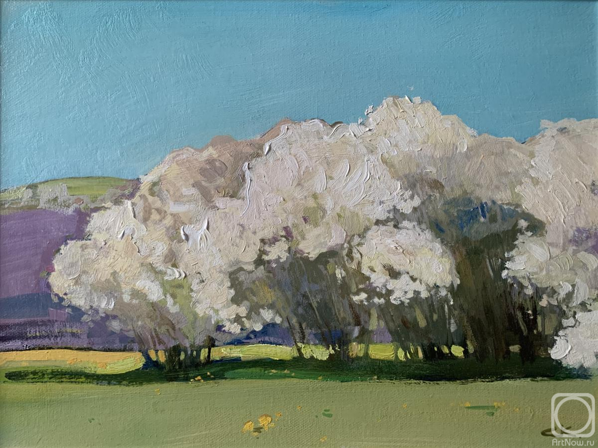 ������� ������ �� ������. ������ ������. ����� ����