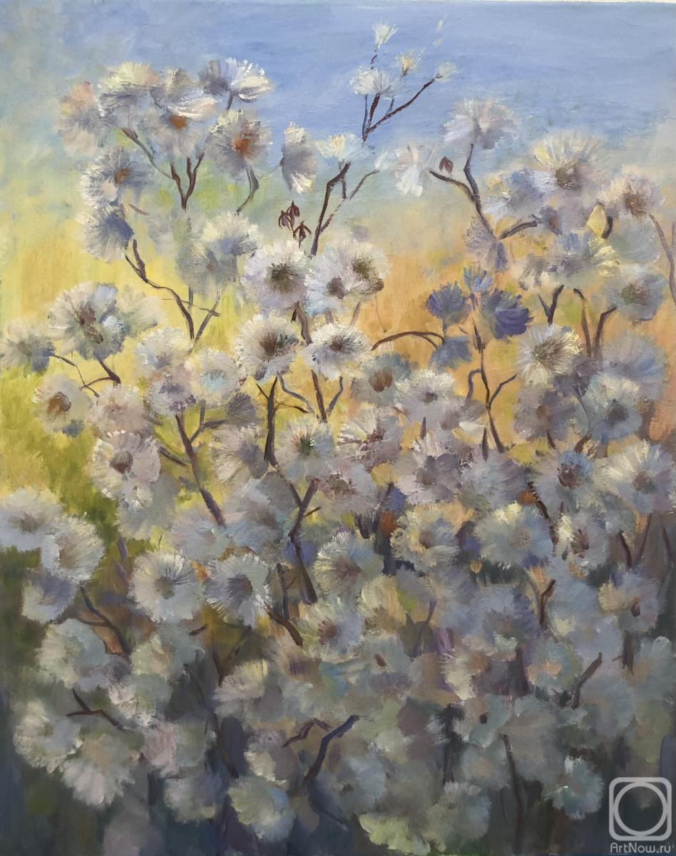 ������� ������ �� ������. ������ �����. ����� �����