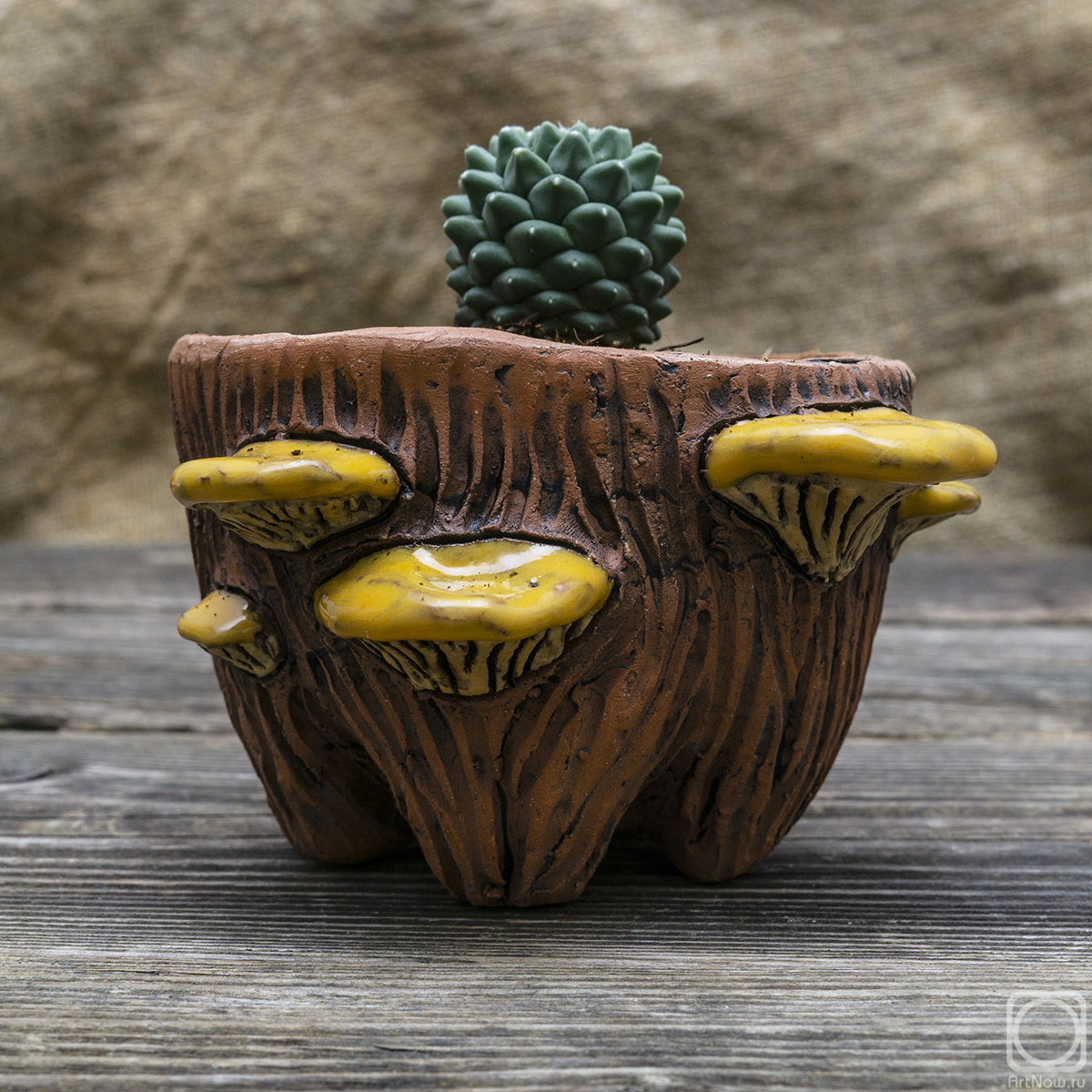 ���� ����. ������ ��� ����������� "���������"