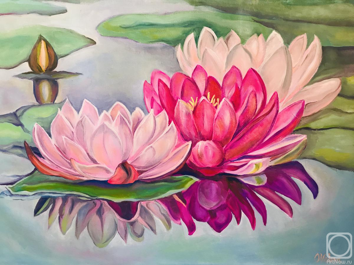 Volna Olga. Lotuses in the pond