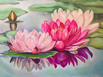 Lotuses in the pond. Volna Olga