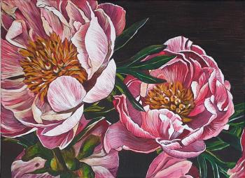 ����� (��� - ����). ��� ��������