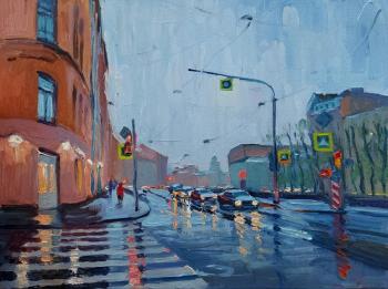Rain in Petersburg. Melnikov Aleksandr