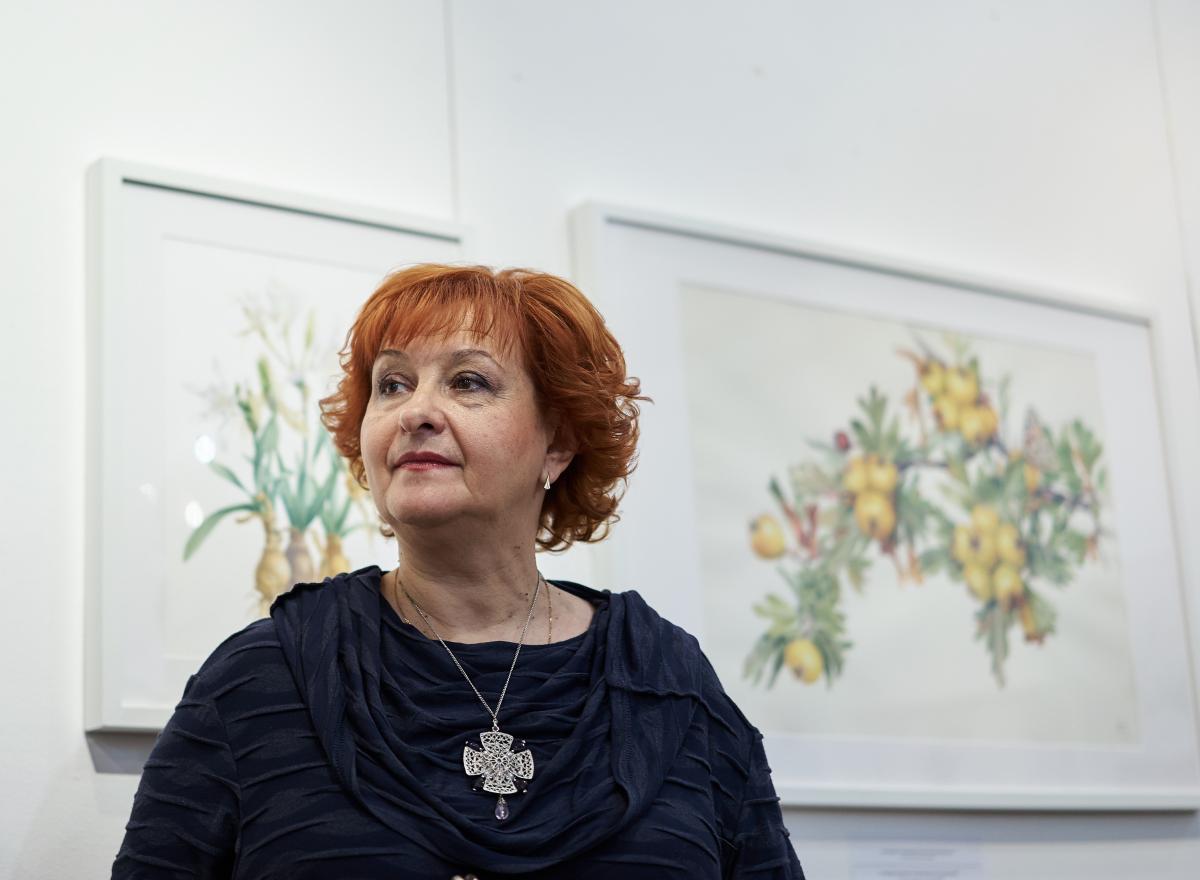 ������ ����