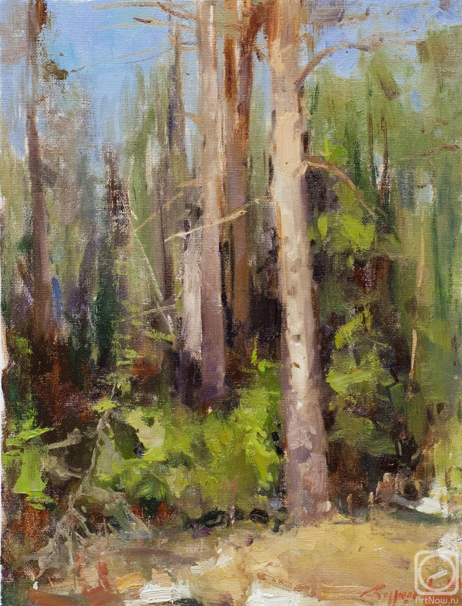 ������� ������ �� ������. ������ �������. ���� � ������ �2