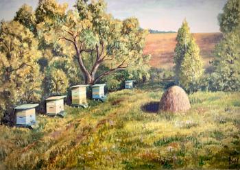 Apiary (Beehives). Kirilina Nadezhda