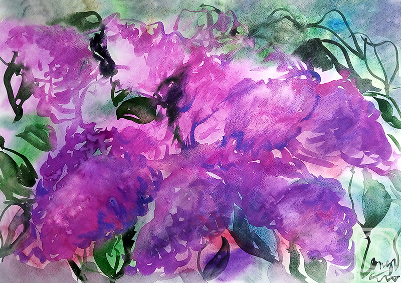 �������. ��������� �������. ������. ������� �����