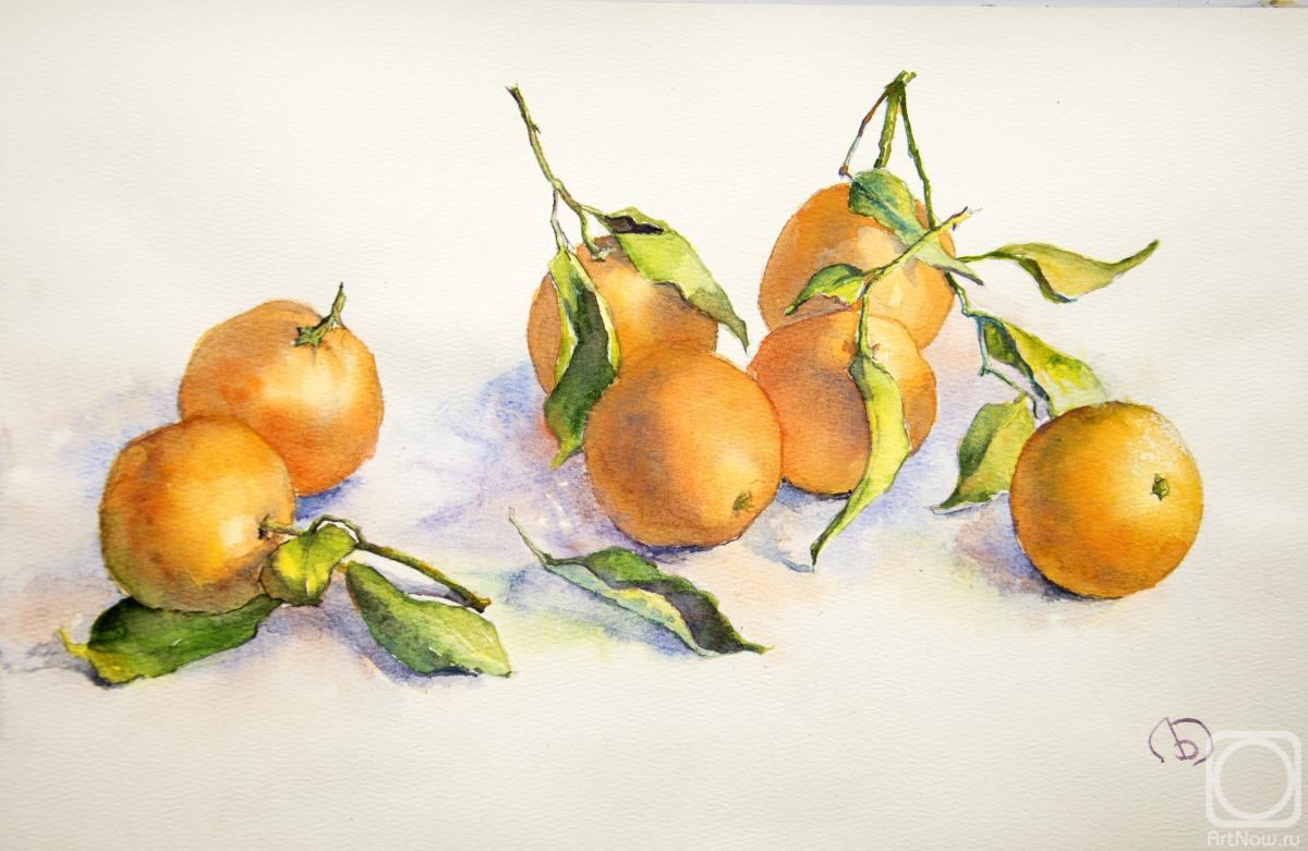 �������. �������� ����. ���������