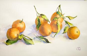 ���������. �������� ����