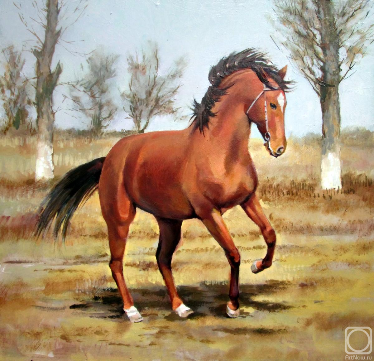 Pautov Igor. Untitled