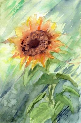 Sunflower (Expressive Flowers). Poygina Elena