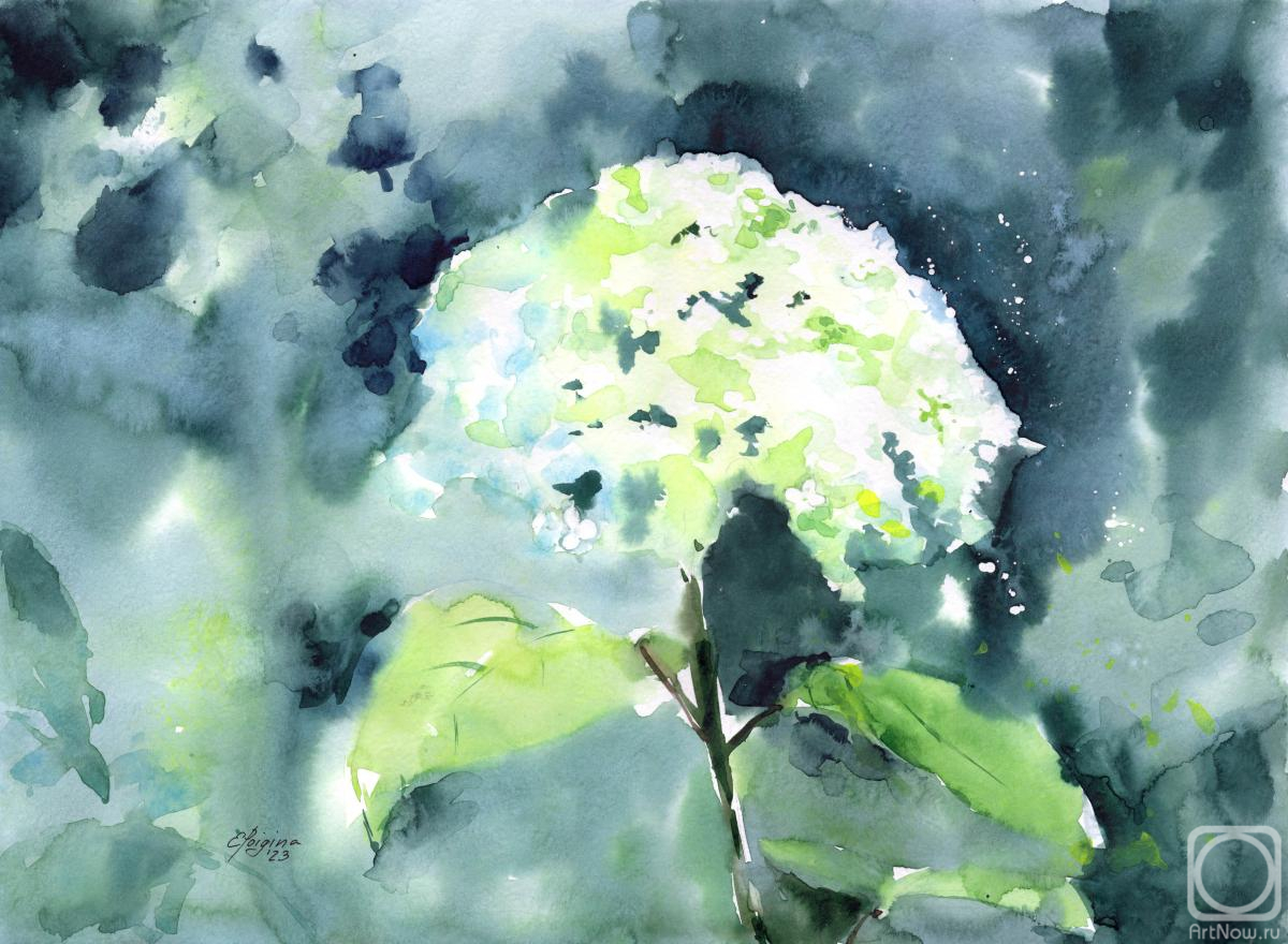 �������. ������� �����. ����� ����