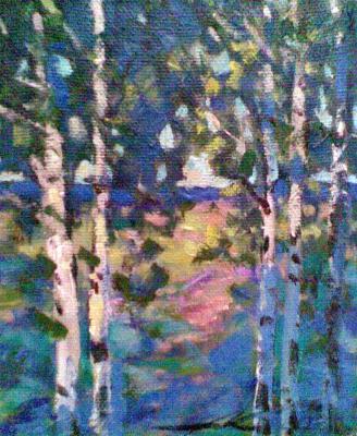 Birch trees. In the summer. Knecht Aleksander