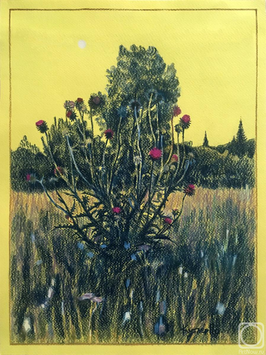 �������. ������ ����. ���������� �� ������