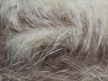 �� ����� "����� �����". �������� �������