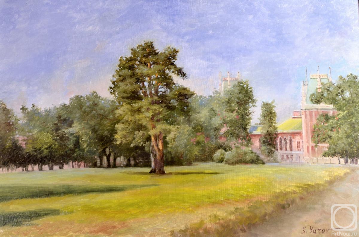 Yurov Sergey. Pine tree in Tsaritsyn Park