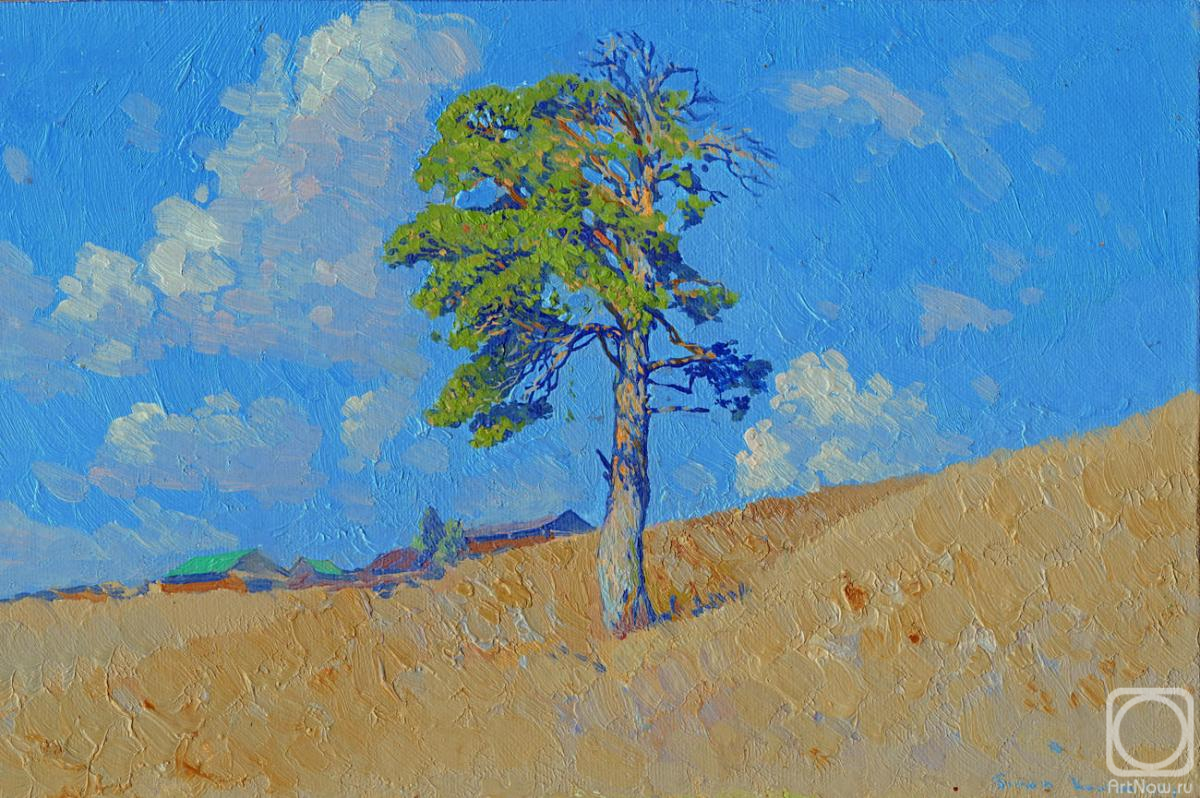 Kozhin Simon. Pine on a hillside. Kyn