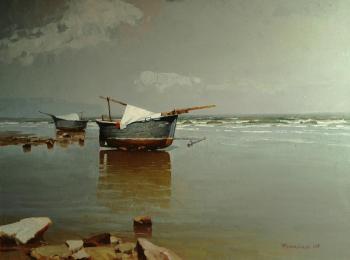 Sea.grey day. Fedorov Mihail