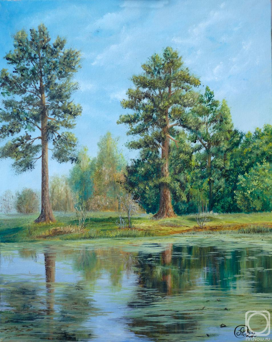 ������� ������ �� ������. �������� �����. �����