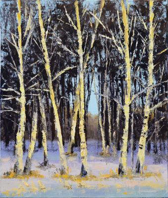 Painting Birches in the rays of the spring sun. Stolyarov Vadim