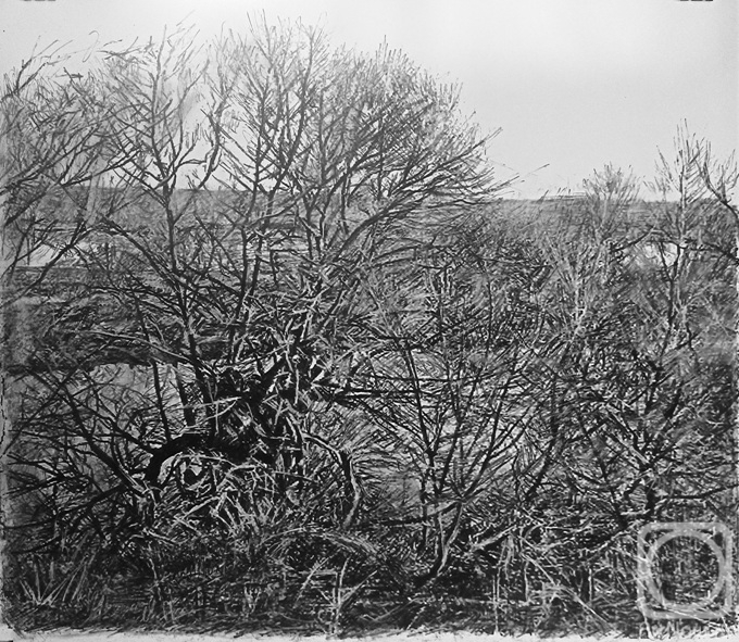 �������. ������ ������. � �����