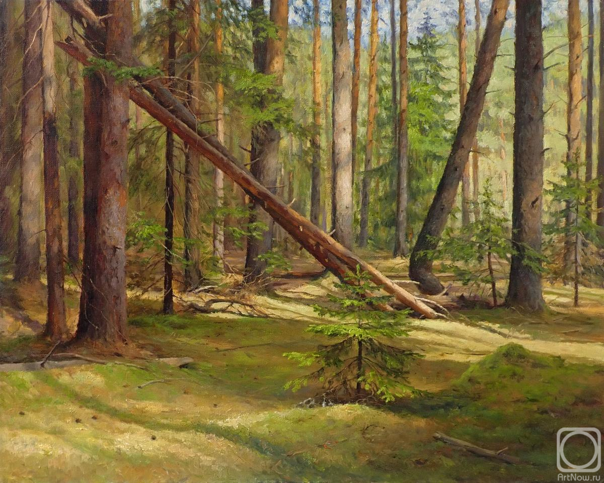 ������� ������ �� ������. ������� �����. ������ � ����