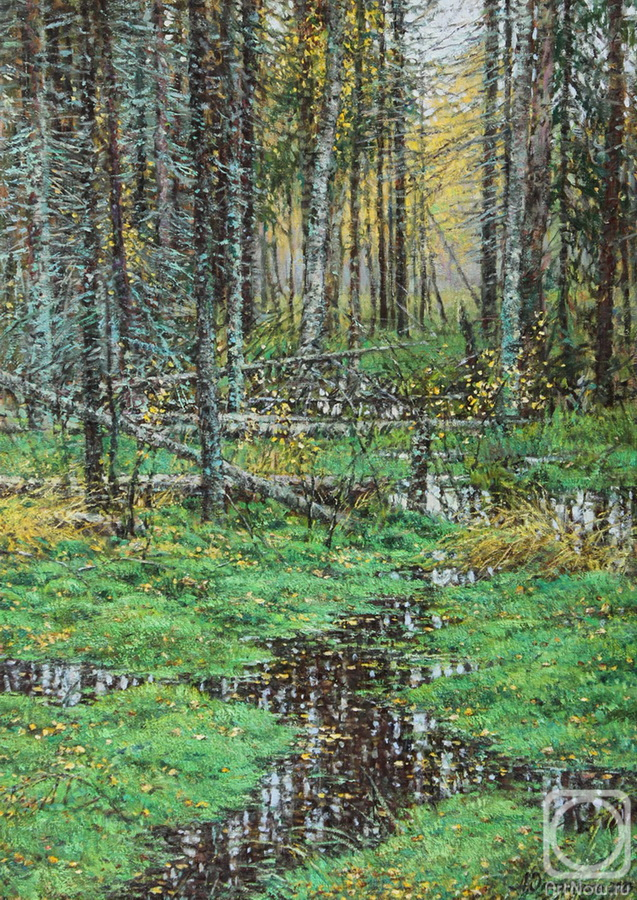 Ovsianikov Anton. Untitled