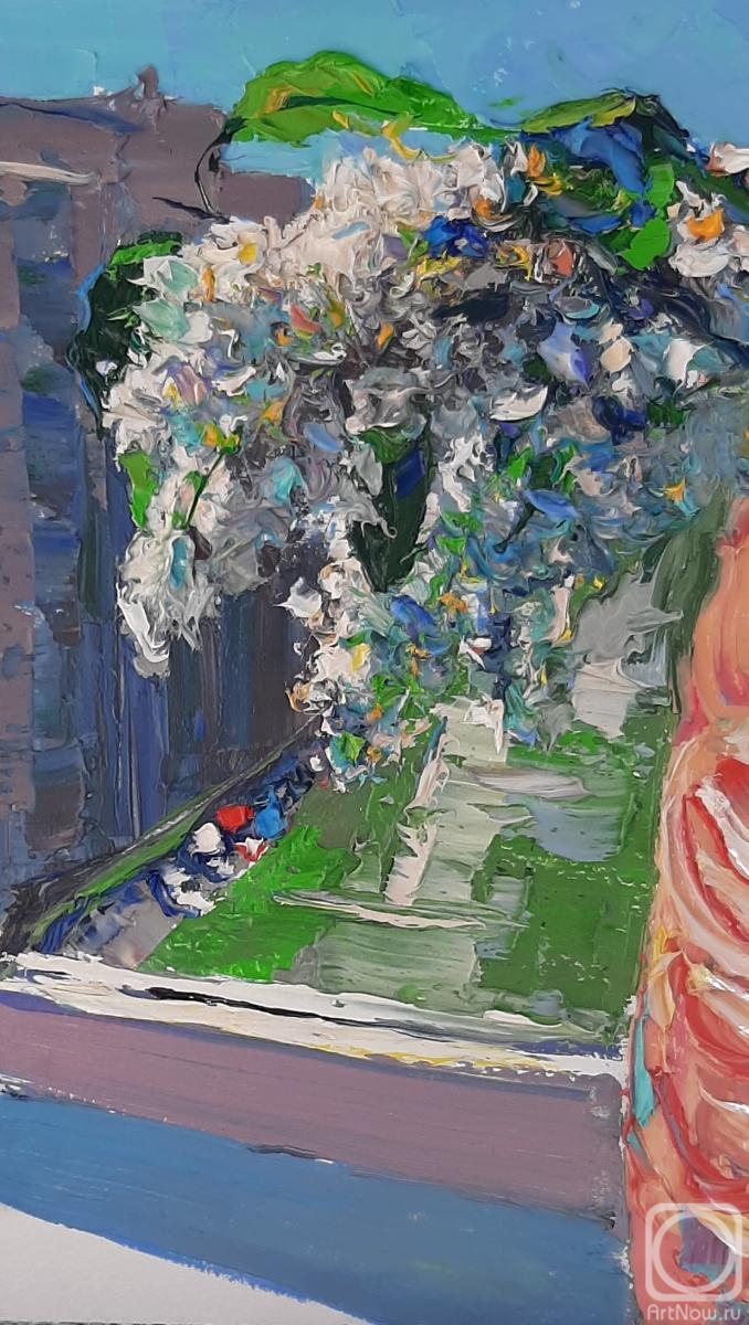 �������. ���������� �������. ��������� ����