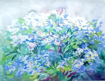 ��������� (���������). ���������� ���������