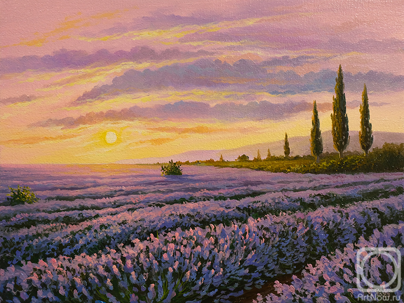 Zhaldak Edward. Lavender fields
