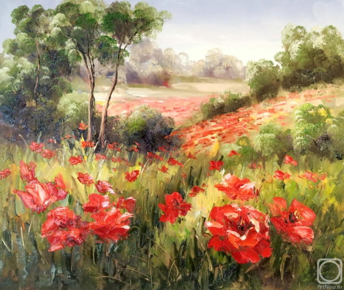 Minaev Sergey. Field of poppies
