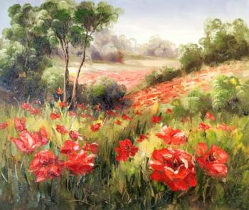Field of poppies. Minaev Sergey