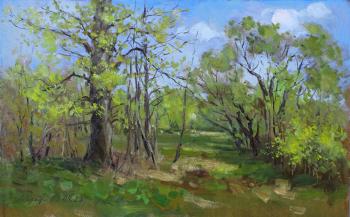 ������� ���������� ���������� �����