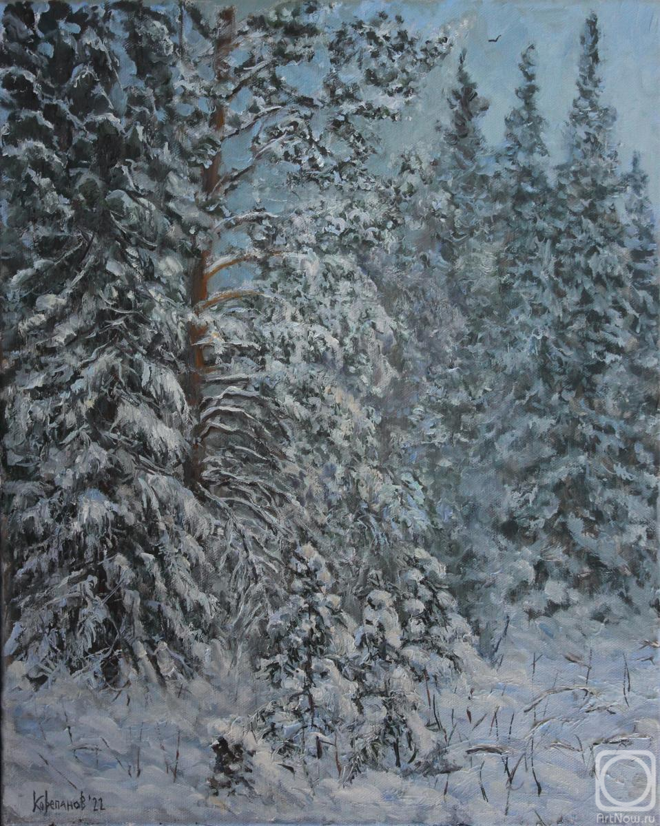 ������� ������ �� ������. ��������� ���������. ����� � ������ ����