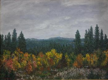 Serginsky forest. Korepanov Alexander