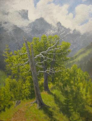 ������� �������