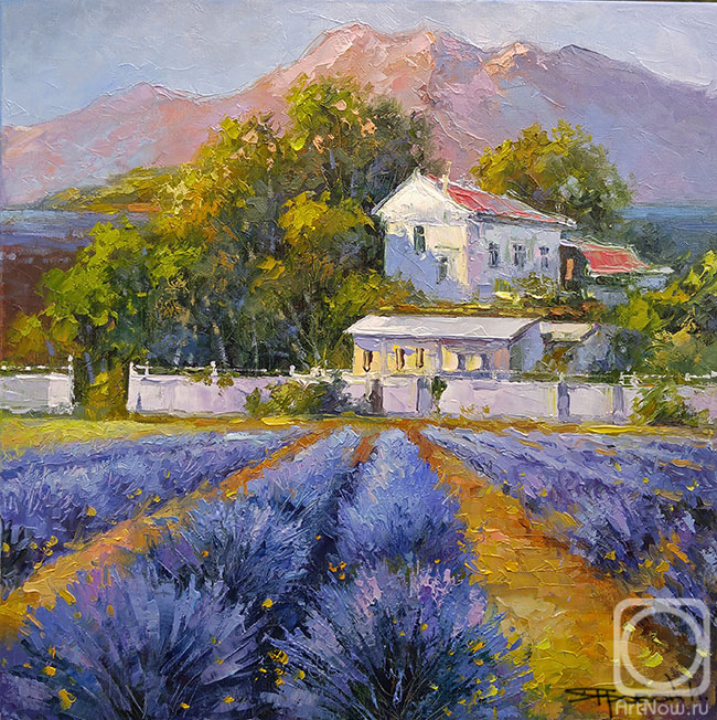 Iarovoi Igor. Houses among lavender