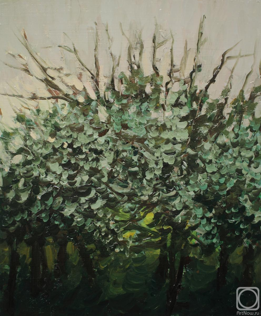 �������. Ը������-������ �������. ����� � ��������