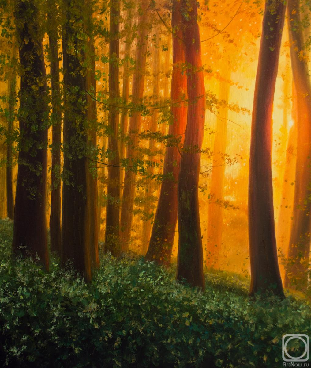 ������� ������ �� ������. ��� ��������. �����������