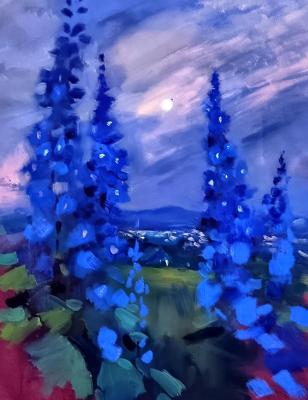 ���� ������������