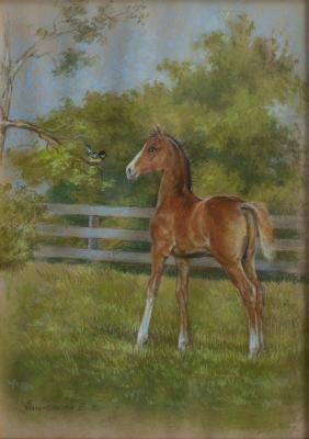 �����: ����������. �������. ����������� �����