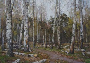 Untitled (Birches Russia). Balakin Artem