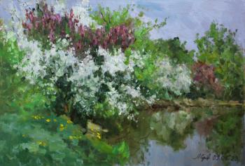 ������� �������� ��������