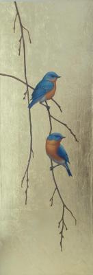 Eastern Bluebirds. Mironova Tatiana