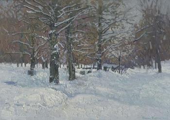 Boulevard in winter. Old Maryino. Kozhin Simon