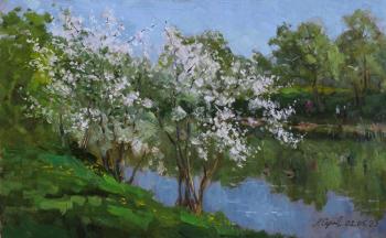 ������� ������ � �����